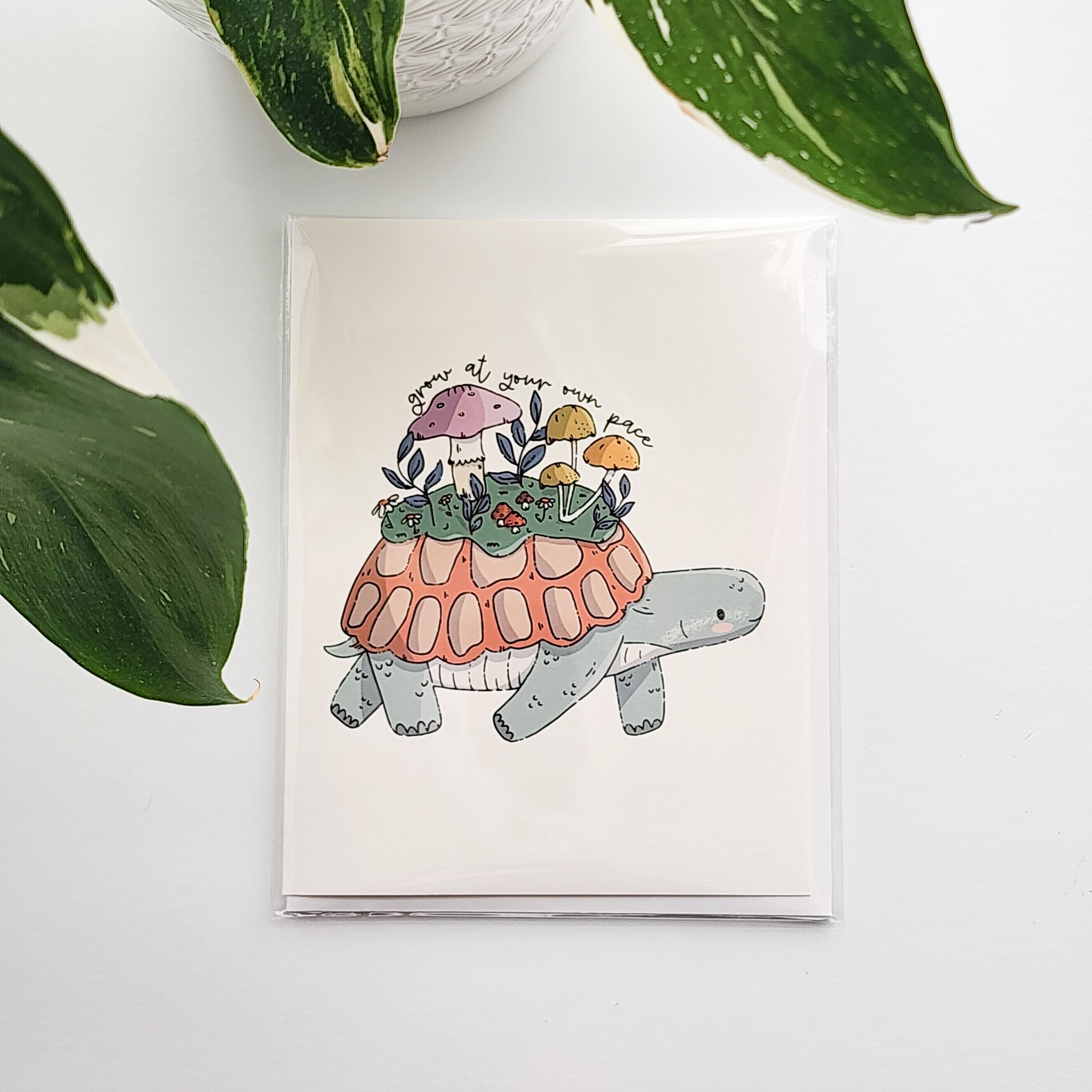 illustrated card with a turtle growing a meadow on its back and the words grow at your own pace. The card is on a white background next to a plant