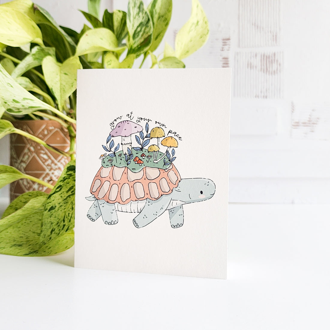 Card with a turtle illustration holding plants, placed on a white surface with green plants in the background.