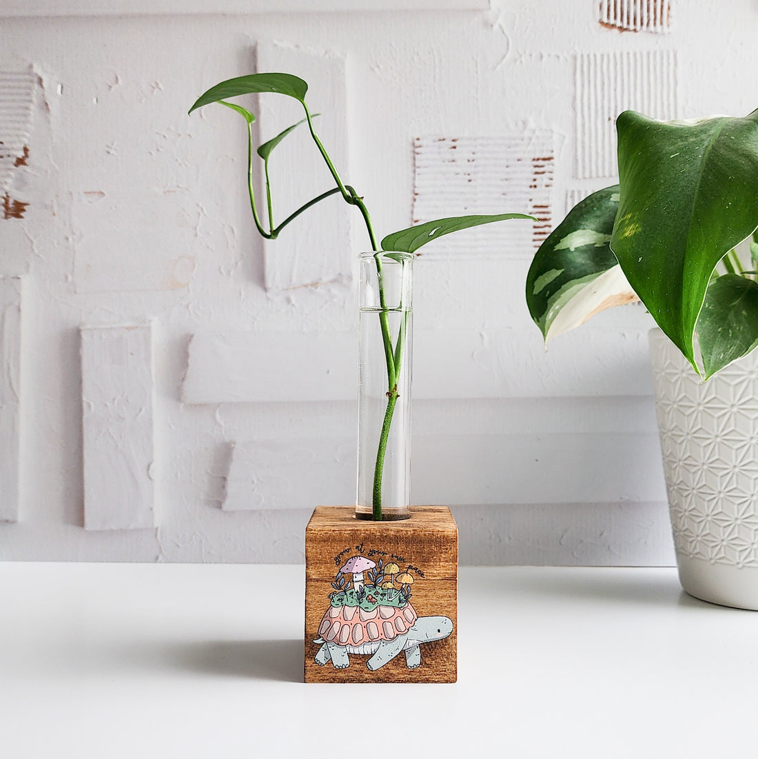wooden propagation block with a glass tube and plant cutting with an illustration of a turtle on the front
