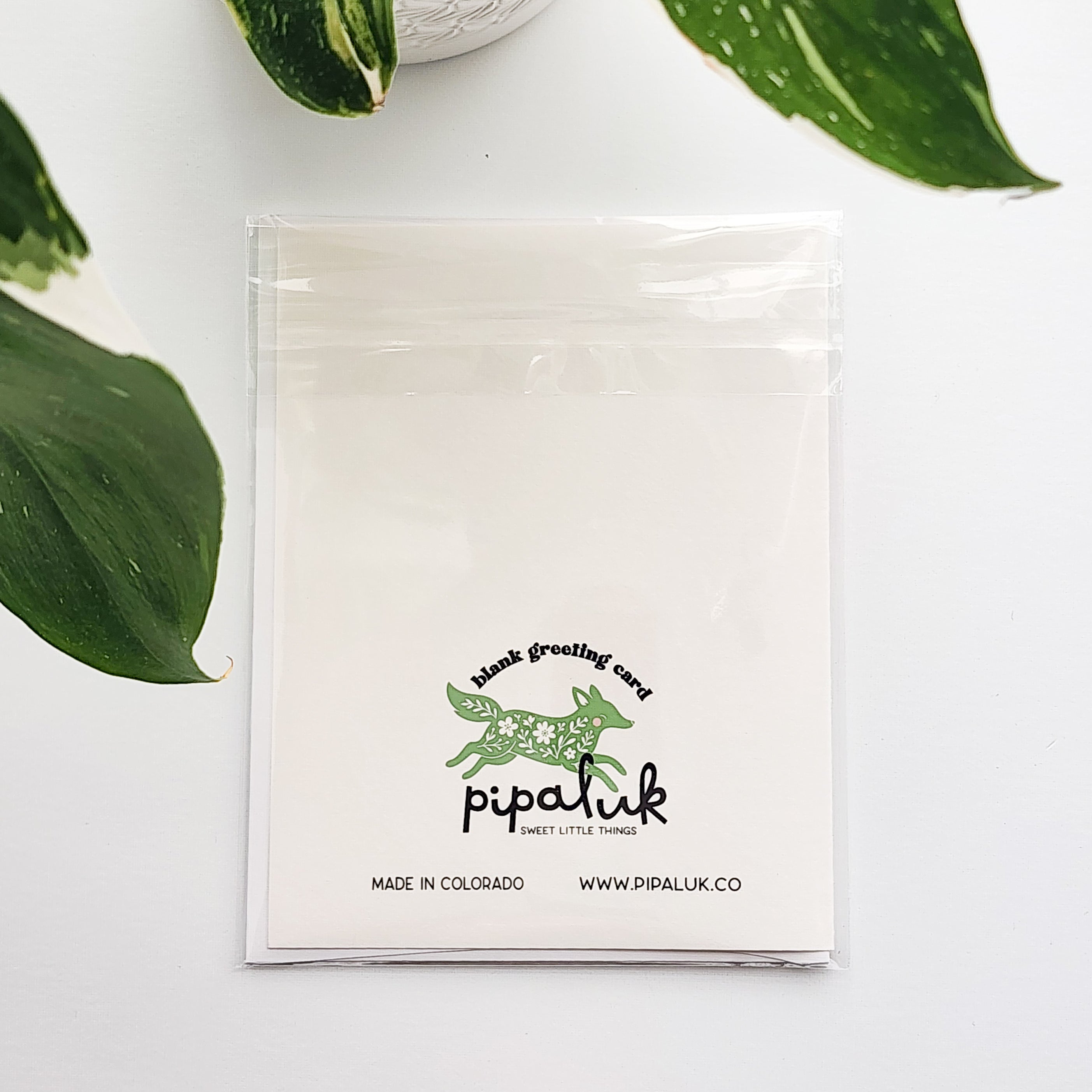 Back of greeting card with Pipaluk branding on a white background with green leaves.