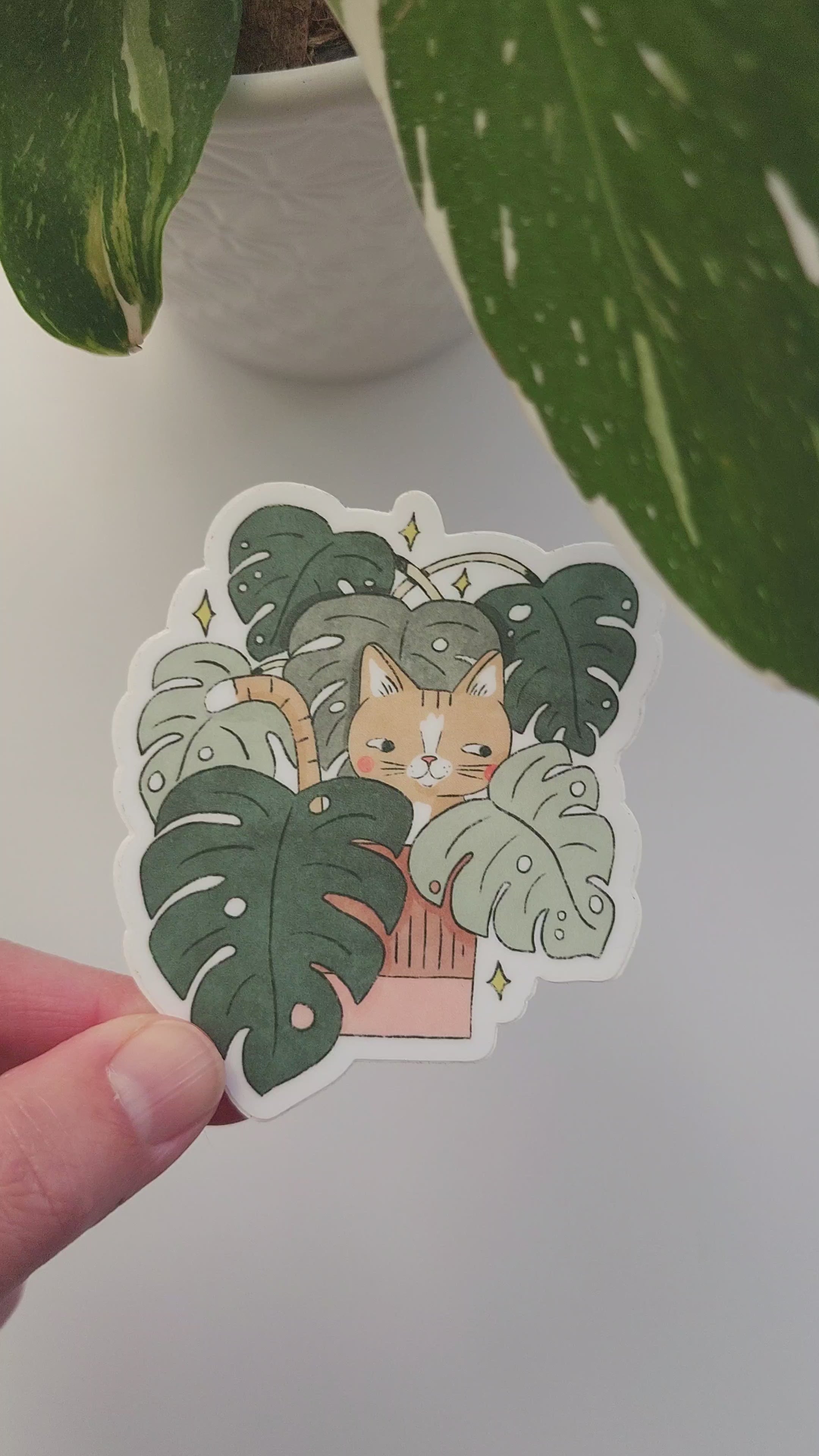 video of a cat in monstera sticker held in a hand next to a plant