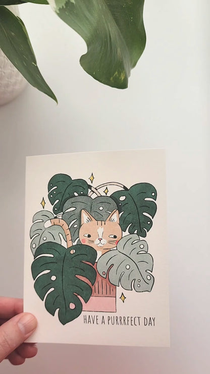 video of the monstera cat card being opened