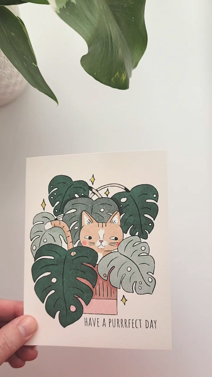 video of the monstera cat card being opened