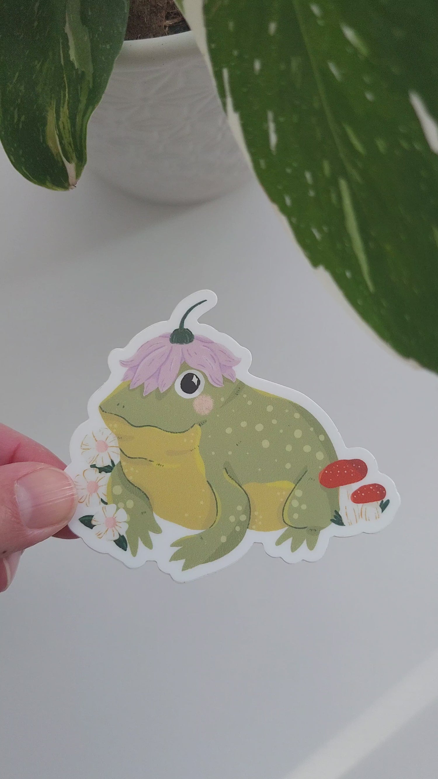 video of the hoppy toad sticker held in a hand next to a potted plant