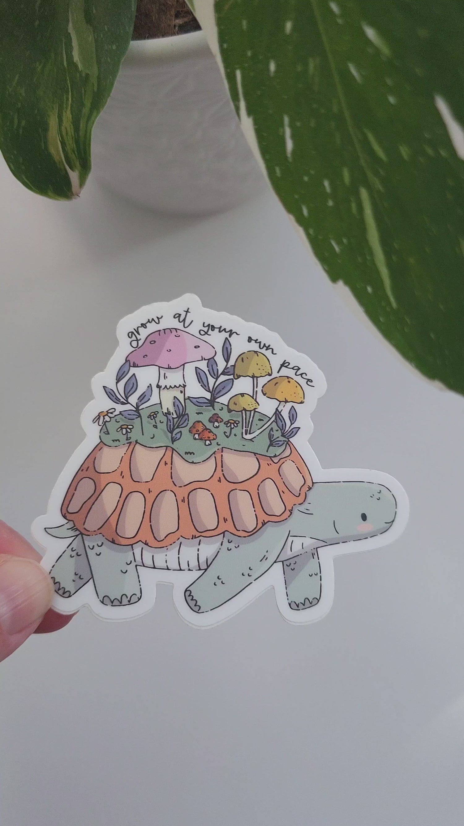 video of mushroom meadow sticker