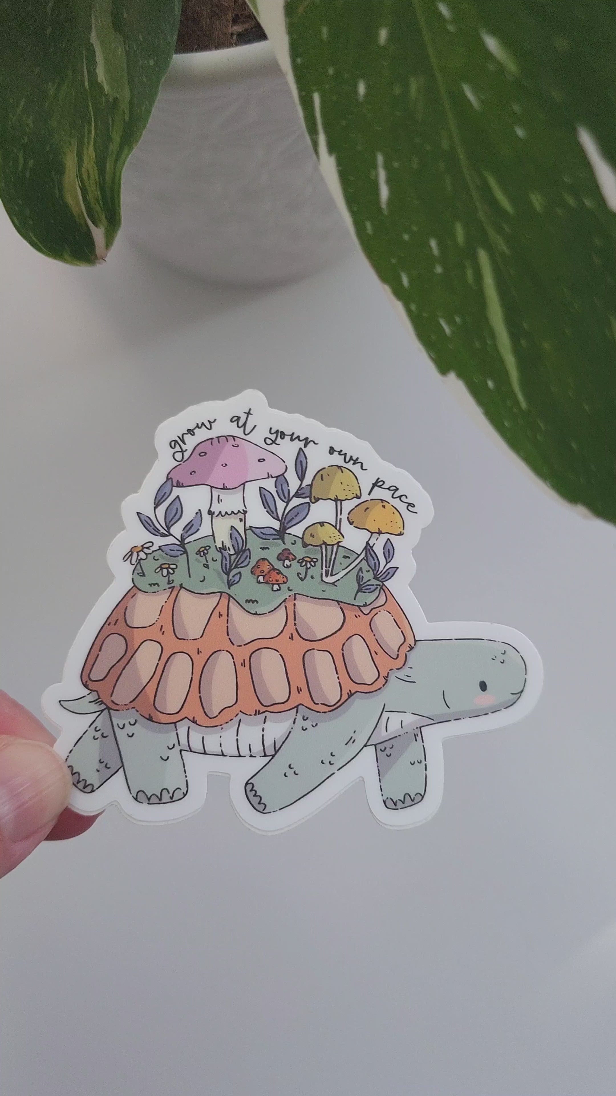 video of mushroom meadow sticker