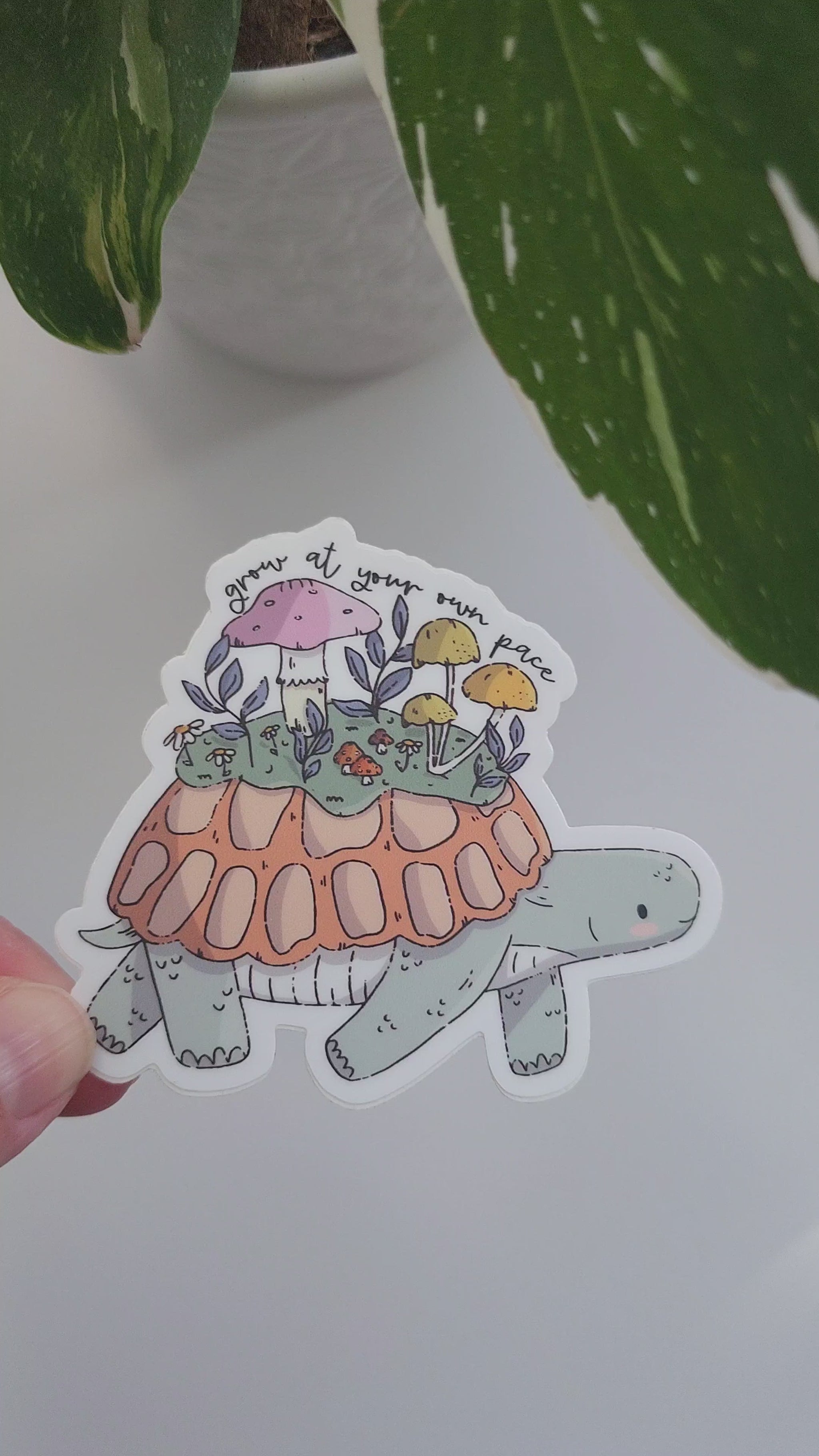 video of mushroom meadow sticker