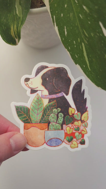 video of the houseplant hound sticker held in a hand in front of a potted plant