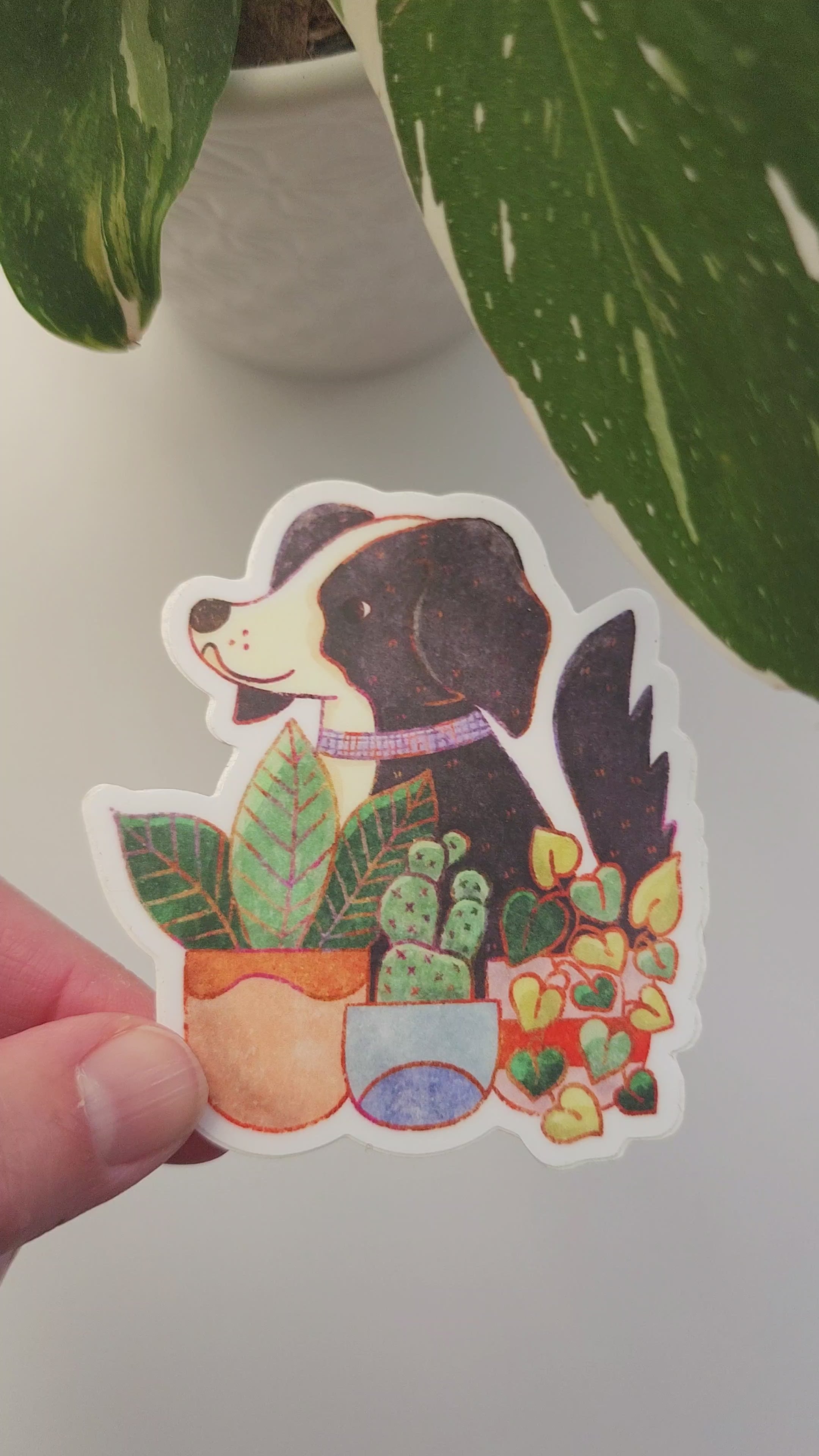 video of the houseplant hound sticker held in a hand in front of a potted plant