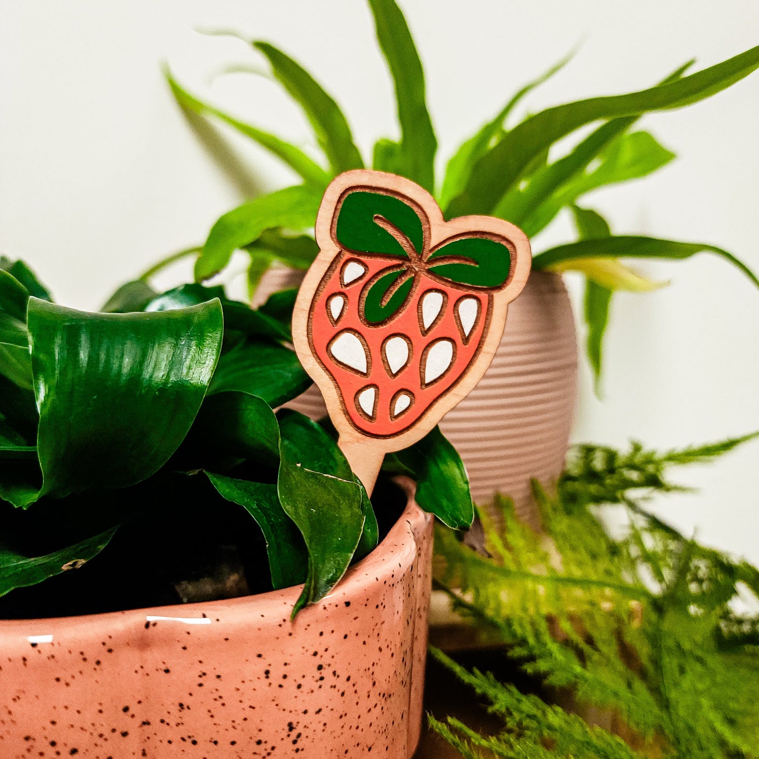strawberry plant pick