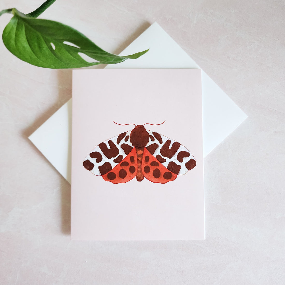 greeting card with a tiger moth illustration on a white envelope